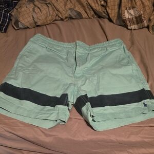 Polo by Ralph Lauren Mint Green and Navy Men Shorts
